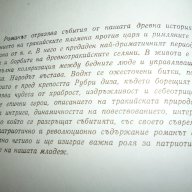 Залезът на Рубри Диза - Георги Алексиев, снимка 4 - Художествена литература - 15319363
