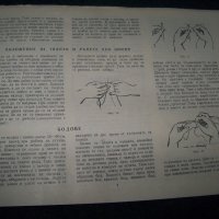 "Как и какво да шием" издание 1962г. за кръжоци, снимка 4 - Специализирана литература - 21697931