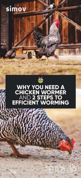 Диатомит /диатомична пръст/ срещу паразити, акари, въшки и мравки при птиците., снимка 1