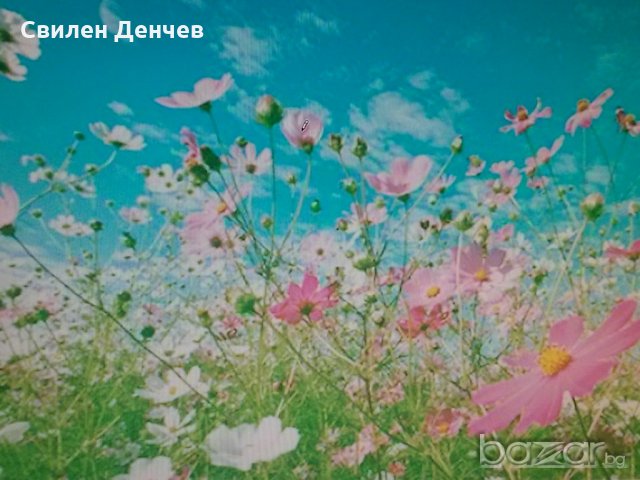 Швейцарски фототапети IDEAL DECOR 366/254, снимка 2 - Декорация за дома - 16945964