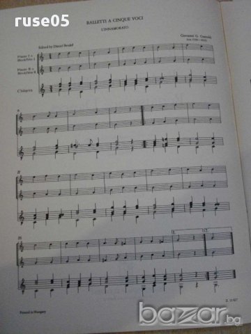 Книга"Reneszánsz táncok két fuvolára és gitárra-Benkő"-24стр, снимка 2 - Специализирана литература - 15846686