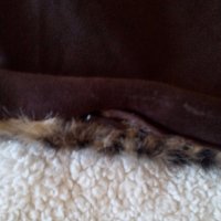 Тигрова калъфка с косъм за декоративна възглавница, снимка 4 - Спално бельо - 19214206