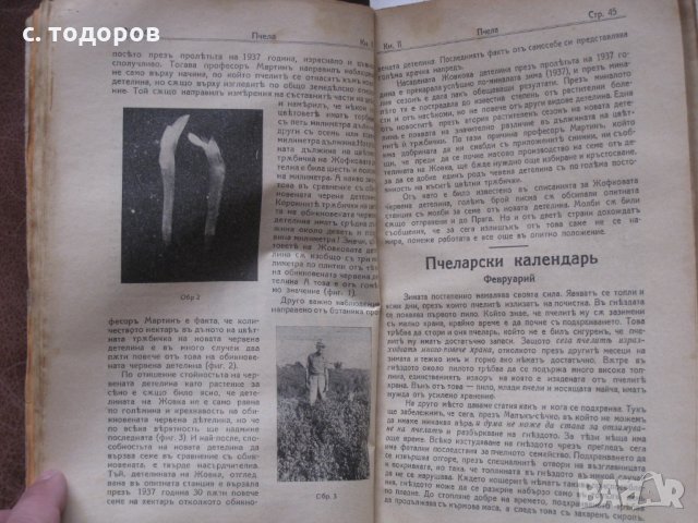 Годишнини на списания Пчела за 1939, 1940, 1943, 1944 и 1949 г. и на списание Пчеларство 1956 - 1982, снимка 3 - Специализирана литература - 25139057