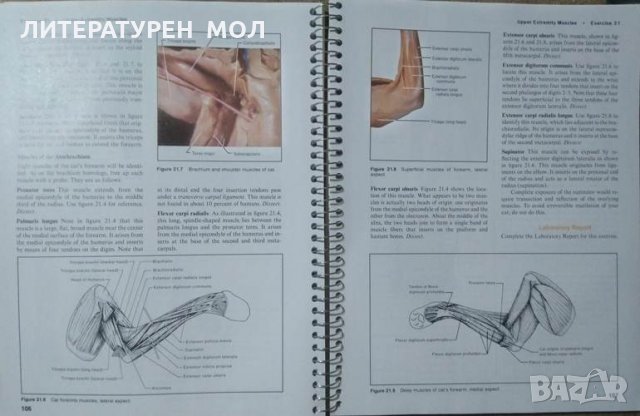 Numan Anatomy Laboratory Textbook 1993 г., снимка 3 - Специализирана литература - 25996579