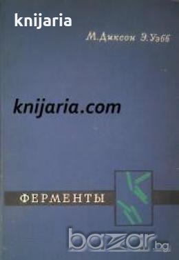 Ферменты 
