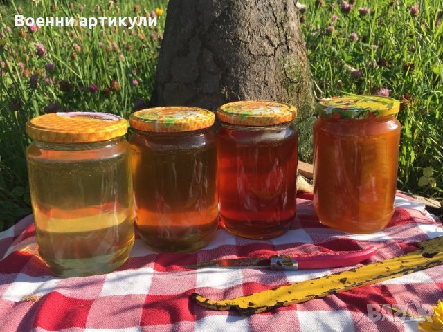 Родопски пчелен мед, снимка 6 - Пчелни продукти - 22675761