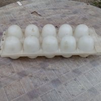 Стара кутия за яйца #2, снимка 2 - Антикварни и старинни предмети - 22127646
