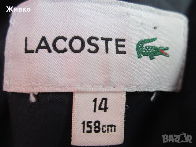 Lacoste пухено яке юношески размер 14 (158 см.) За възрастен отговаря на размер S., снимка 6 - Детски якета и елеци - 24236464