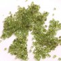 Минерал Peridot Olivine, снимка 4