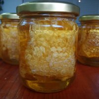Разпечатка в мед , снимка 1 - Пчелни продукти - 18948077