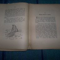 "Моника на път за Мадагаскар" издание 1936г., снимка 5 - Художествена литература - 14275640