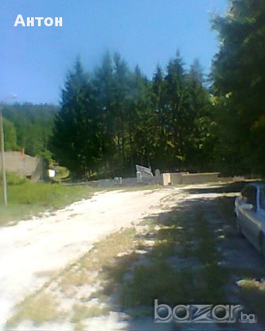 къща с двор в с Стакевци община Видин, снимка 14 - Къщи - 13418561