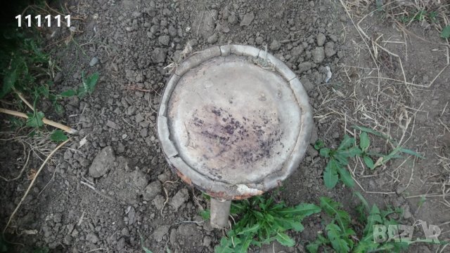 Бъклица , снимка 11 - Други ценни предмети - 26186467