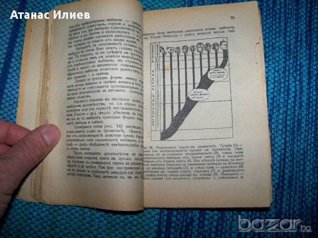 "Произход на човека" издание 1937г. Б. Вишневски, снимка 7 - Художествена литература - 12590062