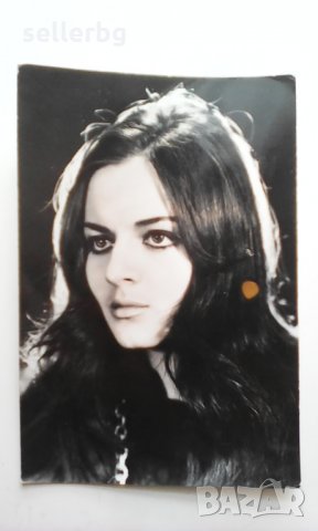 Стари картички на известни БГ певци и актьори от 70-те години, снимка 4 - Колекции - 25526734