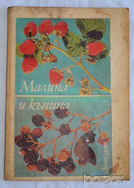 Малина и къпина Колектив, снимка 1