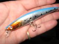 воблер 11см 10.2г 7 цвята, снимка 7