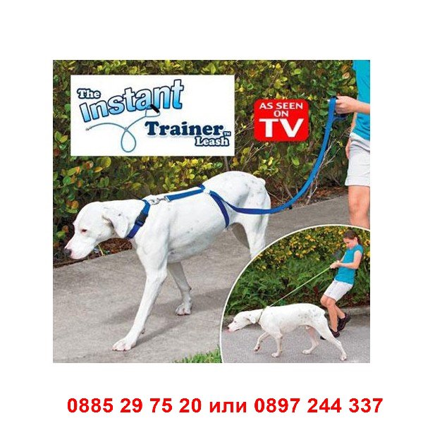 the instant trainer leash