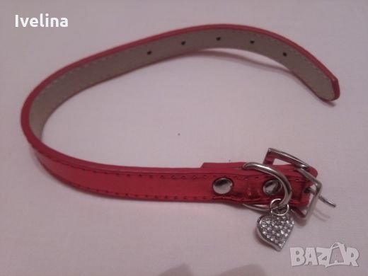 Нашийник за куче/коте, снимка 9 - За кучета - 22867940