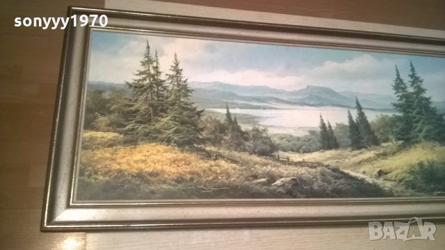 картина с рамка-внос швеицария-111х51см, снимка 8 - Колекции - 25516623