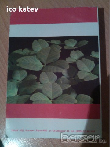 Книга Българо-Руски речник, снимка 2 - Художествена литература - 17261007