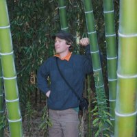 100 броя бамбукови семена от Декоративен бамбук Moso Bamboo лилав зелен цветен черен МОСО БАМБО нов, снимка 15 - Сортови семена и луковици - 19674238