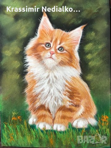 Рисувам портрети.Подарък за сватба,рожден ден и други поводи., снимка 10 - Картини - 17071461