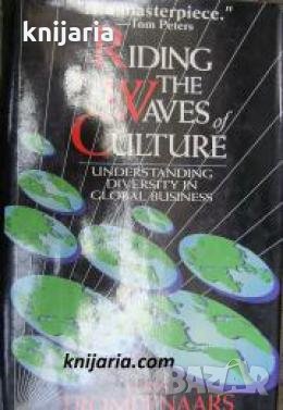  Riding the Waves of Culture: Understanding Diversity in Global Business 