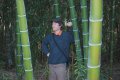 100 броя бамбукови семена от Декоративен бамбук Moso Bamboo лилав зелен цветен черен МОСО БАМБО нов, снимка 15