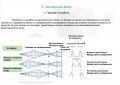 Изработвам презентации на PowerPoint в ppt и pdf формат, снимка 5