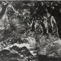 Стара картина,графика,"Пролет в гората", Б.Петков,1970 г.-1, снимка 2 - Картини - 21273248