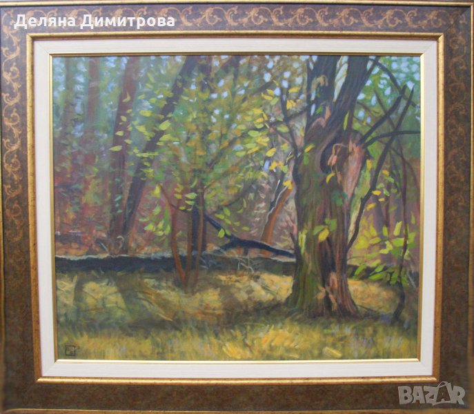 Качествени картини - страхотни цени!, снимка 1