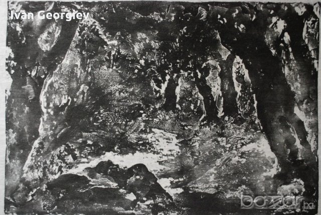 Стара картина,графика,"Пролет в гората", Б.Петков,1970 г.-1, снимка 2 - Картини - 21273248