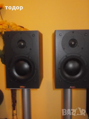 DYNAUDIO - AUDIENCE 40 венге, снимка 4 - Тонколони - 23516769