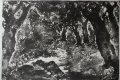 Стара картина,графика,"Пролет в гората", Б.Петков,1970 г.-1, снимка 2