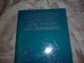 Processes in Language Acquisition and Disorders by Robin S. Chapman , снимка 2