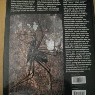 Книга ''Jungle Bugs in the Night'' - 168 стр., снимка 4 - Специализирана литература - 7819366
