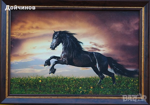 Пейзаж с черен кон, картина, снимка 1