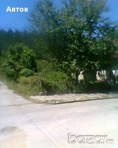 къща с двор в с Стакевци община Видин, снимка 12 - Къщи - 13418561