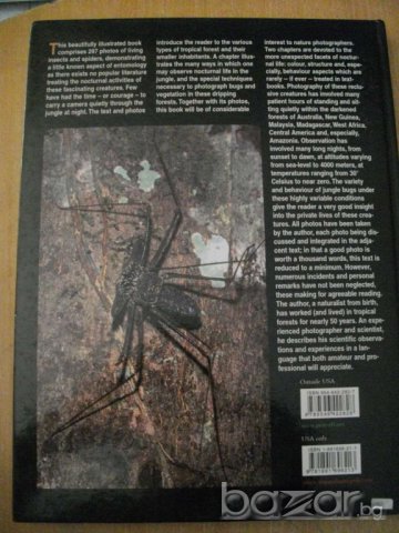 Книга ''Jungle Bugs in the Night'' - 168 стр., снимка 4 - Специализирана литература - 7819366