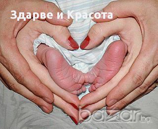 Крем мелкфет с екстракт от невен - 250мл. от Dr. Förster, Germany+подарък , снимка 9 - Козметика за тяло - 11294366