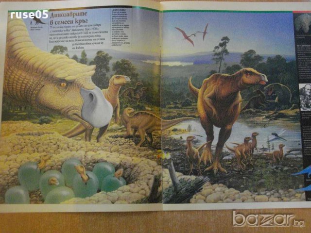 Книга "Еволюцията - брой 4 - Динозаврите" - 16 стр., снимка 3 - Художествена литература - 8308544