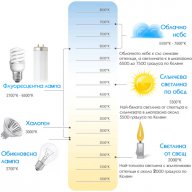 LED крушка с баланс на яркостта - топло бяла светлина (цокъл E26/E27 220V, 10W), снимка 6 - Крушки - 8896218