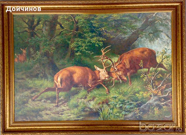 Биещи се елени в гората, картина за ловци