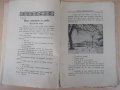 Списание "*Венецъ* - книжка III-декемврий 1934 г." - 64 стр., снимка 3