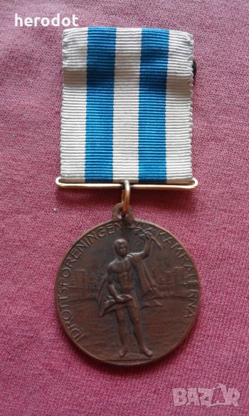 Шведски орден, медал, знак , снимка 1