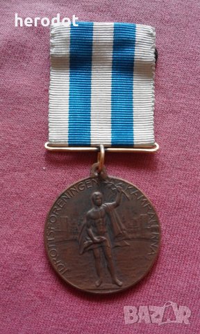 Шведски орден, медал, знак , снимка 1 - Нумизматика и бонистика - 25920354