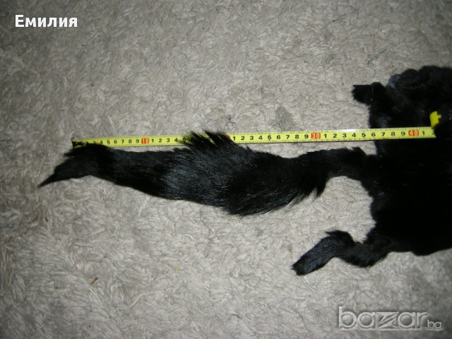 продавам стара яка от лисица, снимка 3 - Други - 14564717