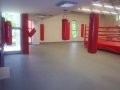 БОКСОВ РИНГ на КОЛЕЛА  4х4 м. х 50 см. с 2 см.подложка. ПРЕДЛОЖЕТЕ ЦЕНА !, снимка 8
