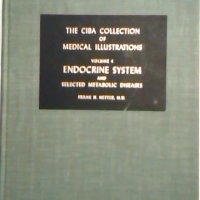 Endocrine system and selected metabolic diseases, снимка 1 - Специализирана литература - 23742753